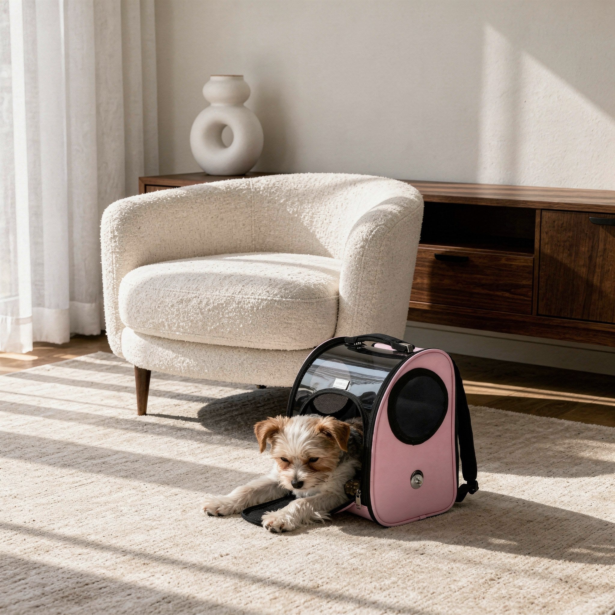 Bubble Window Pet Backpack with Breathable Side Vents