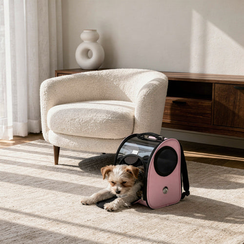 Bubble Window Pet Backpack with Breathable Side Vents