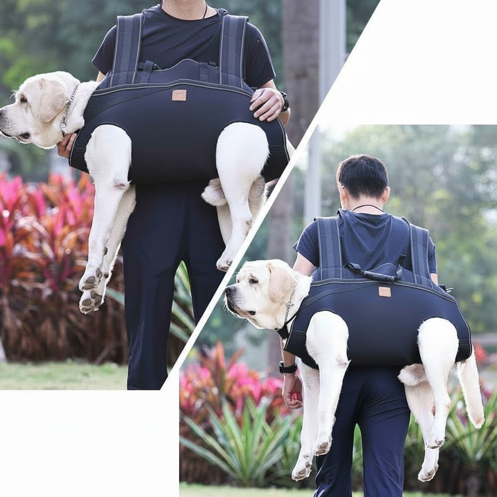 Multi-Function Outdoor Dog Carrier Backpack with Mobility Support detail